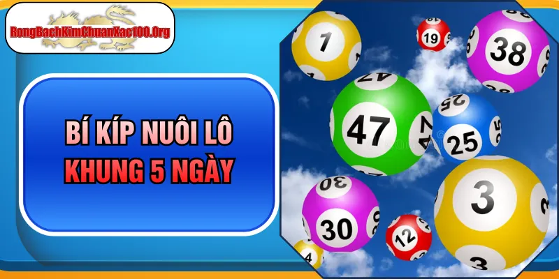 Bí Kíp Nuôi Lô Khung 5 Ngày Hiệu Quả Giúp Tối Ưu Nguồn Vốn