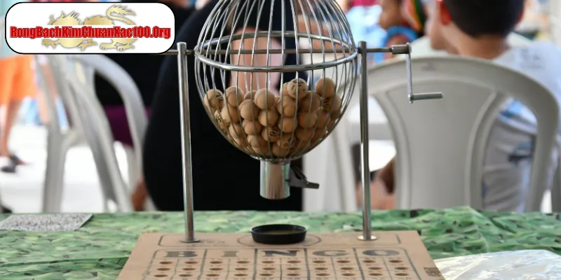 Chi tiết cách nuôi bạch thủ lô khung 2 ngày chuẩn xác nhất
