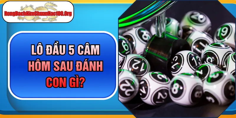 Giải Đáp Lô Đầu 5 Câm Hôm Sau Đánh Con Gì Dễ Trúng Lớn Nhất