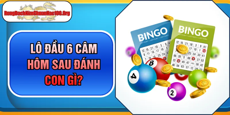 Lô Đầu 6 Câm Hôm Sau Đánh Con Gì Giúp Bạn Về Bờ Nhanh Chóng?